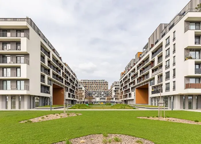 : Sporty Serenity Daire